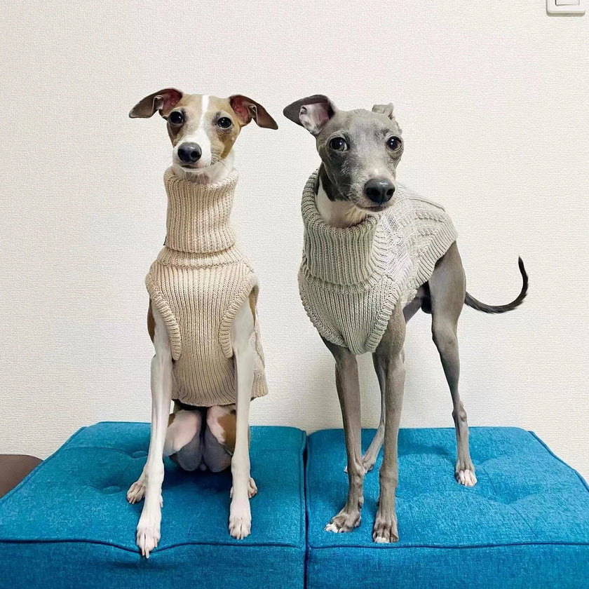 Stickad polotröja för hund