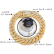 Hundhalsband med strass