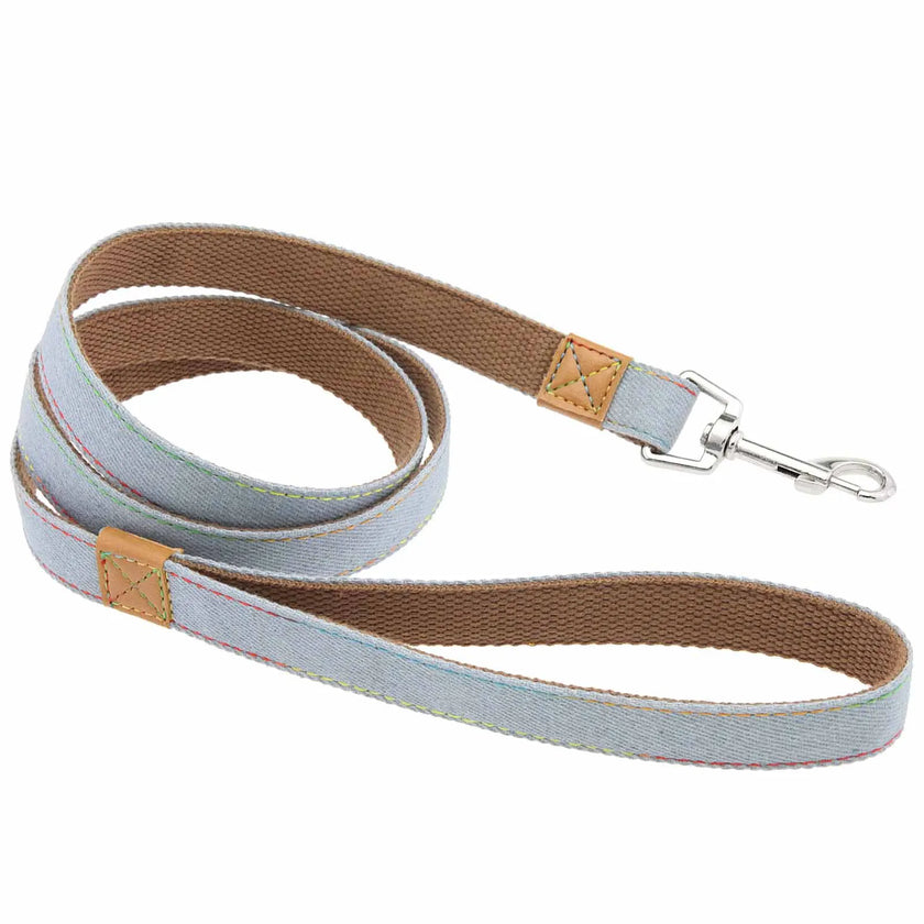 Hundsele i jeanstyg & koppel