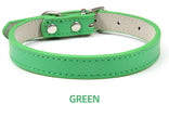 Hundhalsband