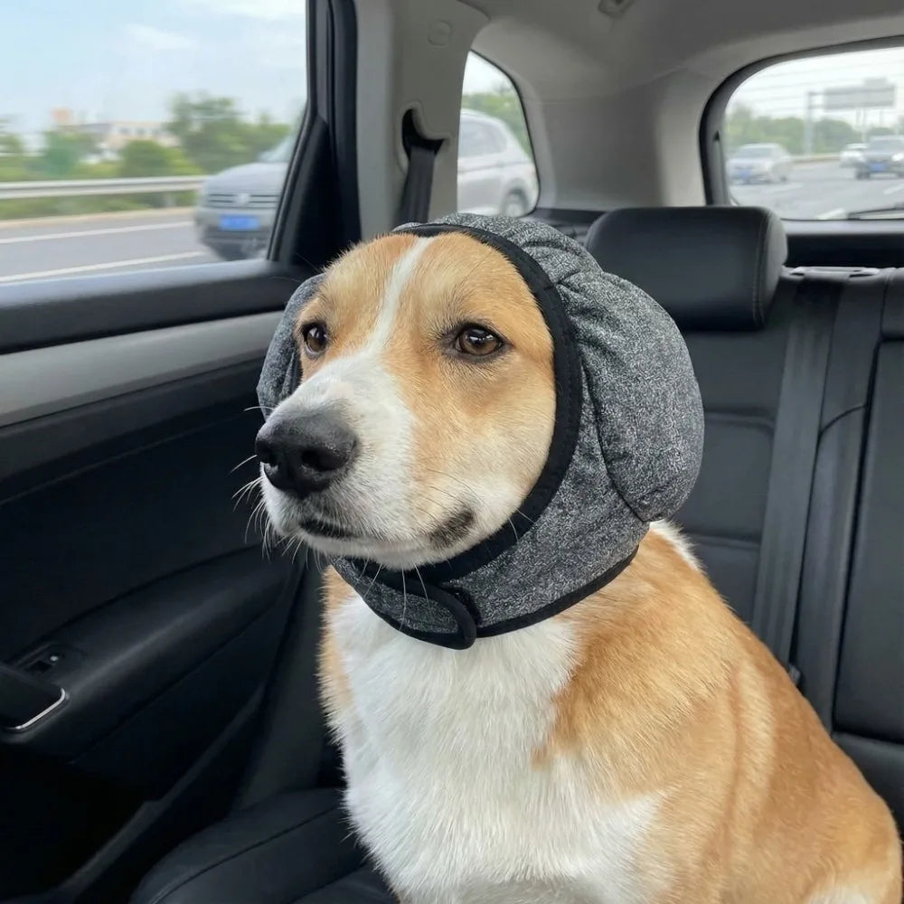 Hörselskydd för hund