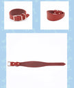 Brett hundhalsband