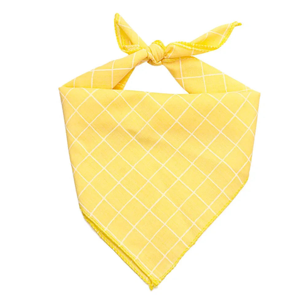 Scarf för liten hund