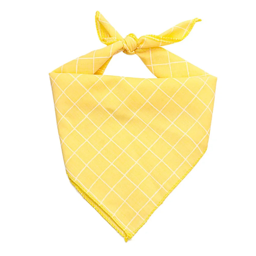 Scarf för liten hund