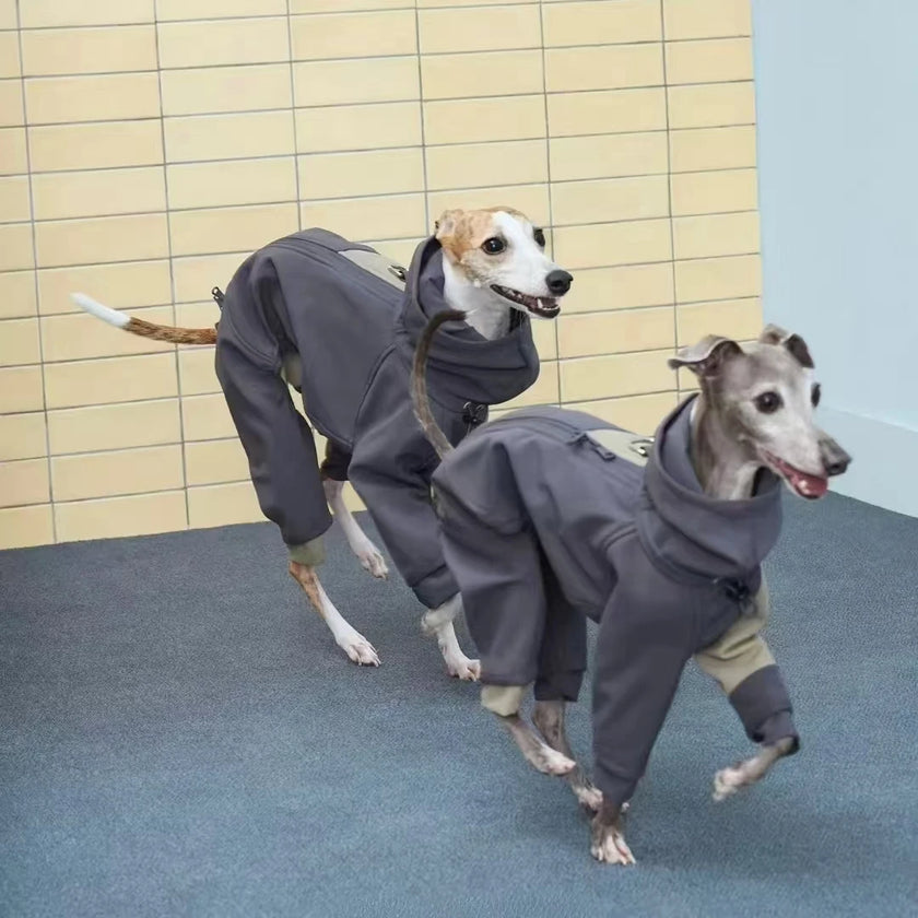 Hundoverall med hög krage