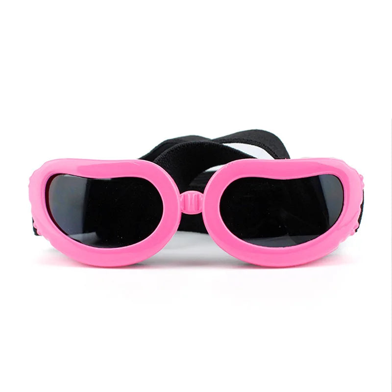 Goggles för hund