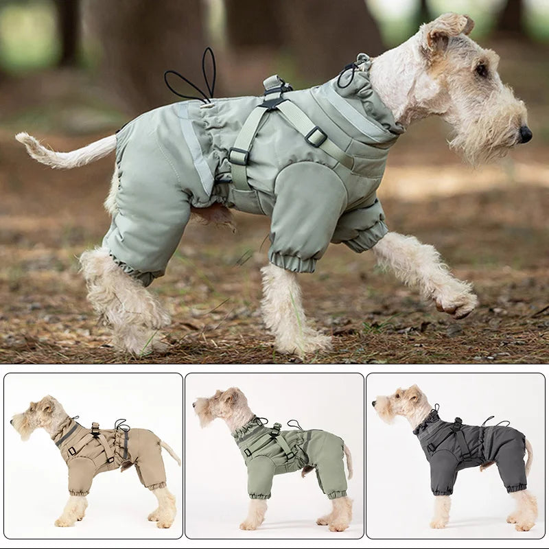Overall med sele för hund