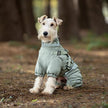 Overall med sele för hund