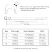 Hundhalsband
