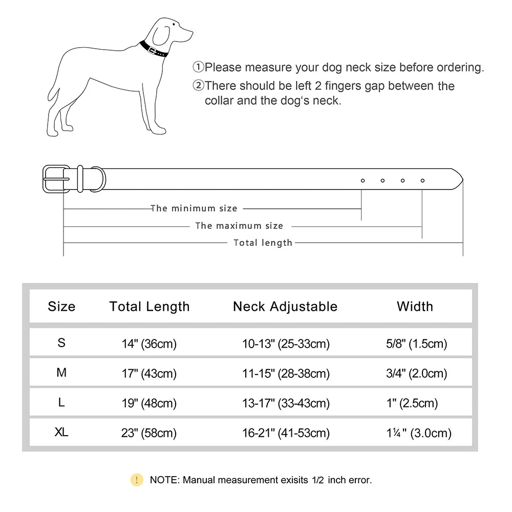 Hundhalsband