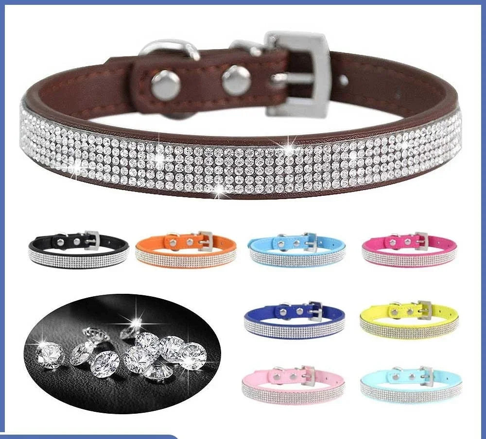 Hundhalsband med strass