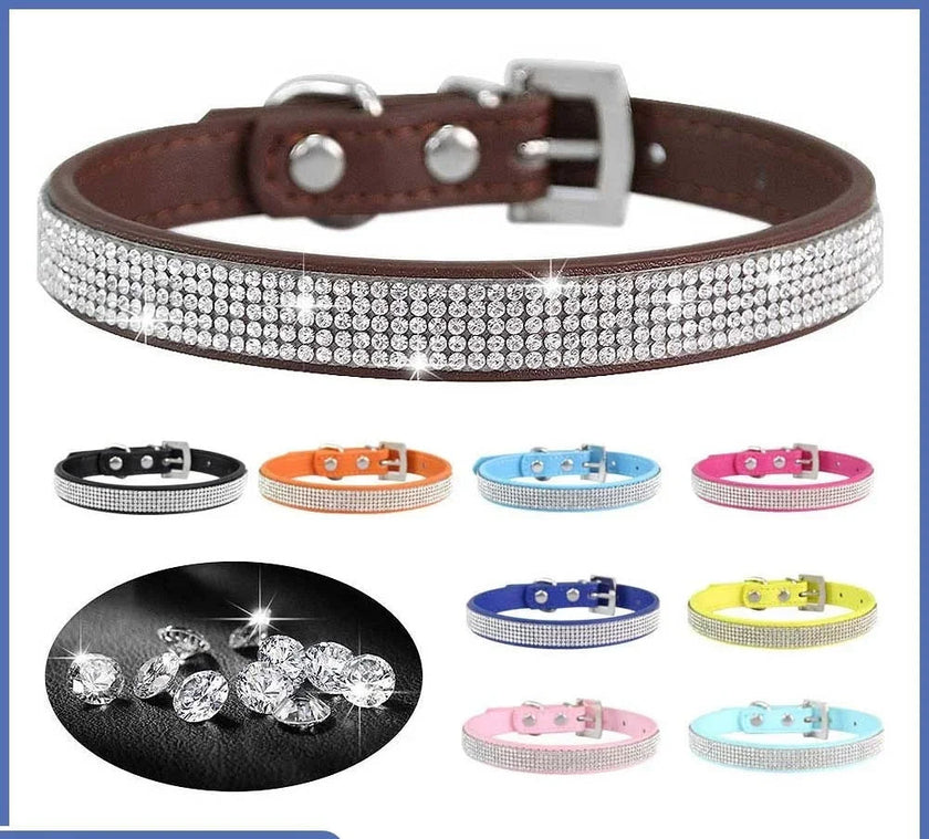 Hundhalsband med strass