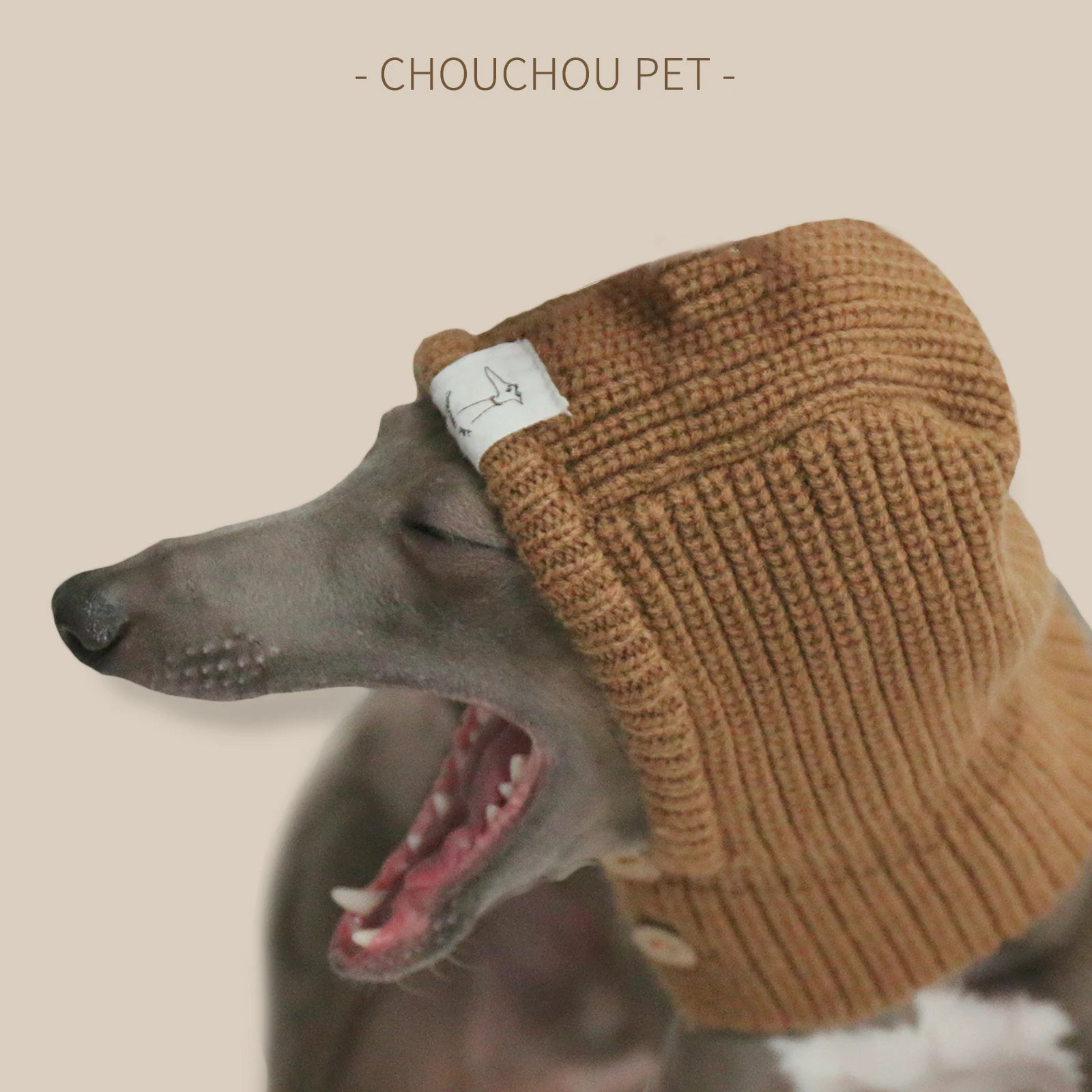 Mössa för hund