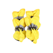 Hundskor