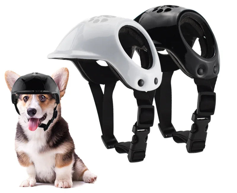 Hjälm för liten hund