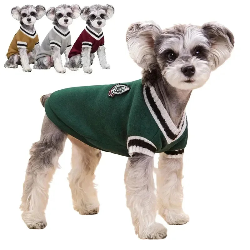 Collegetröja för hund
