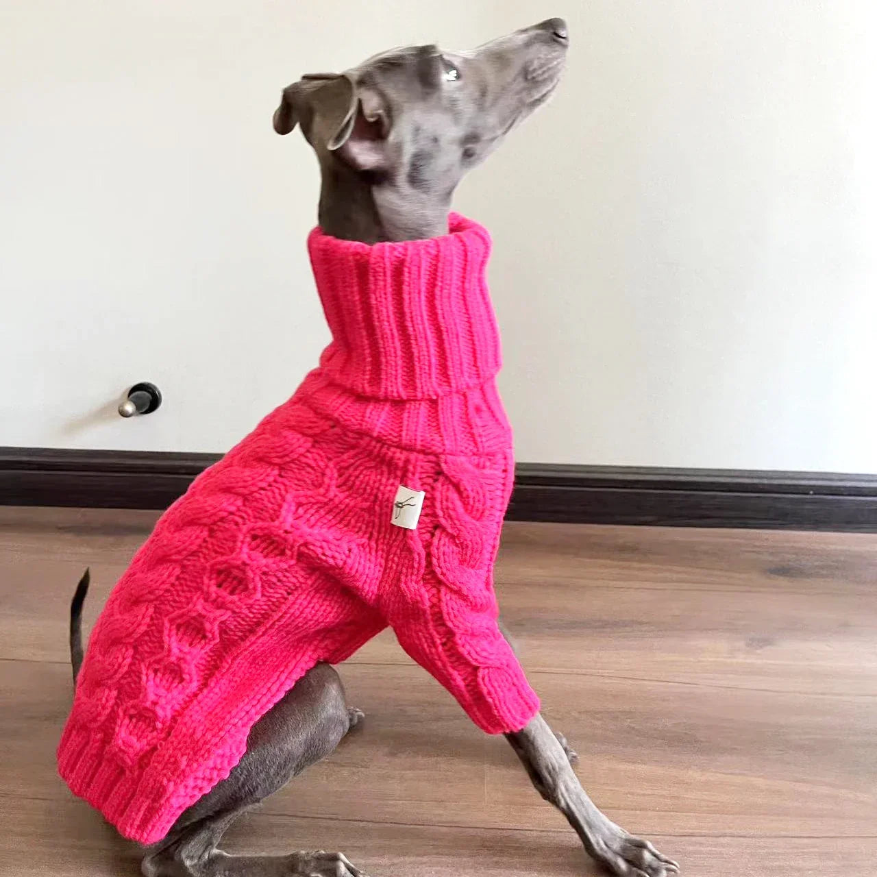 Polotröja för hund