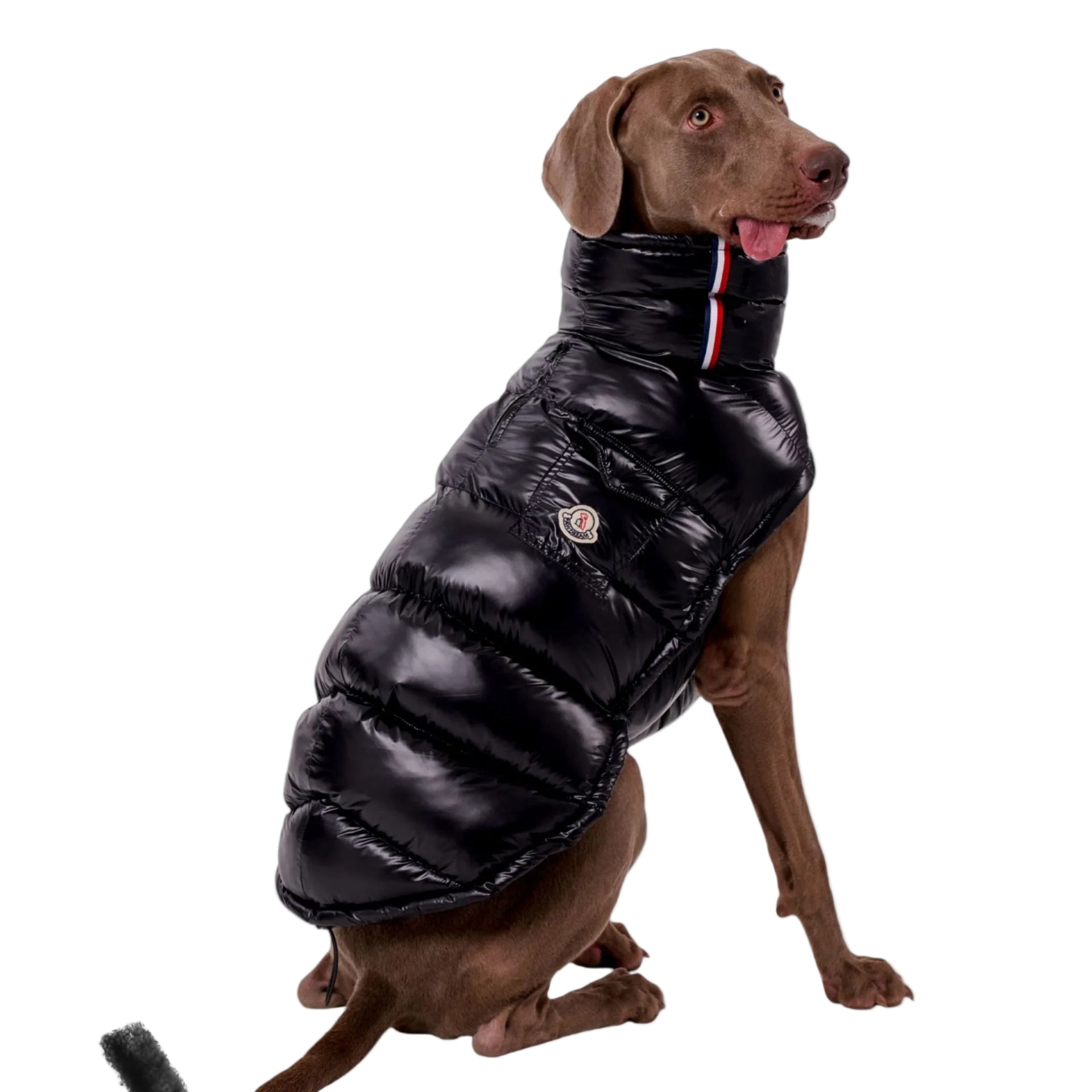 Täckväst för hund