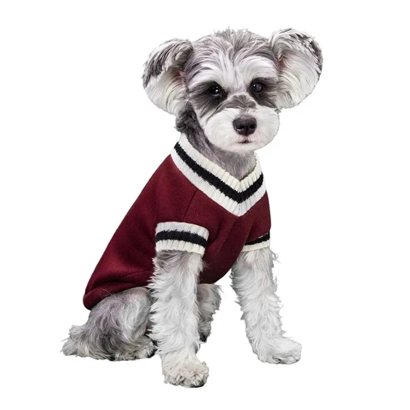 Collegetröja för hund