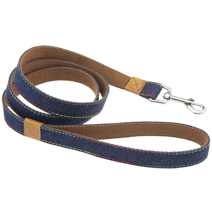 Hundsele i jeanstyg & koppel