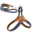 Hundsele i jeanstyg & koppel