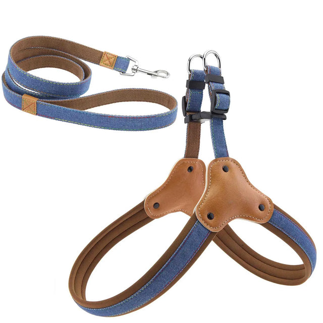 Hundsele i jeanstyg & koppel