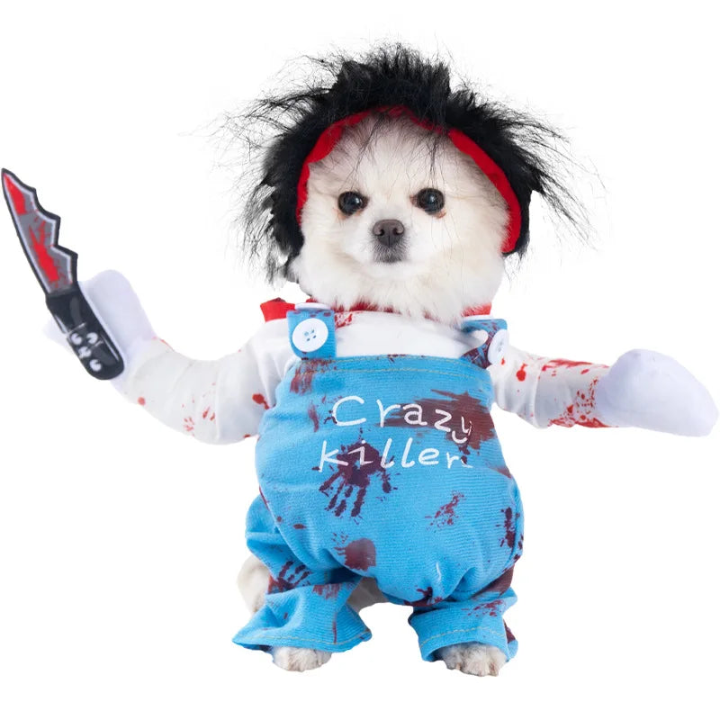 Halloween kostym för hund