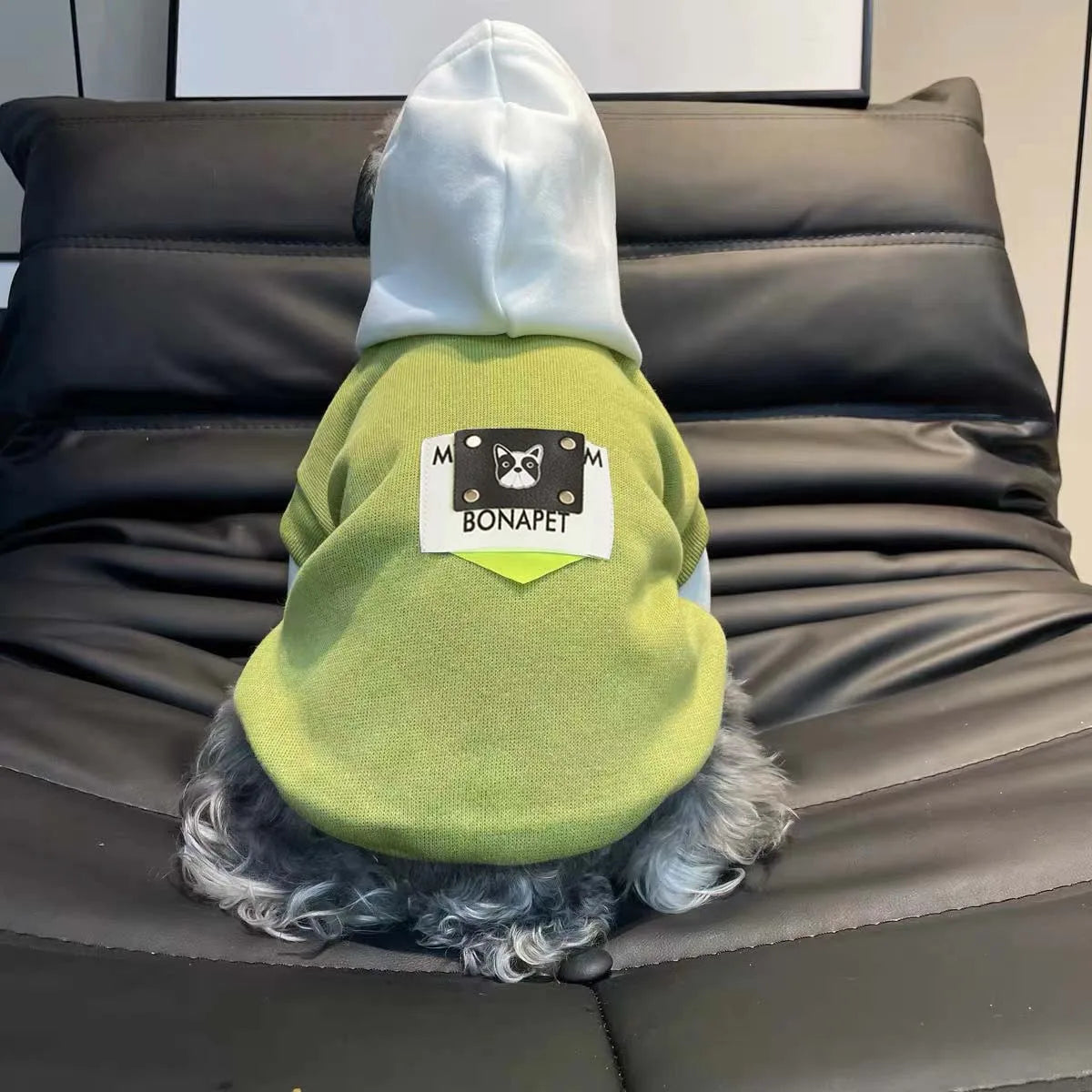 Sweatshirt med luva för hund