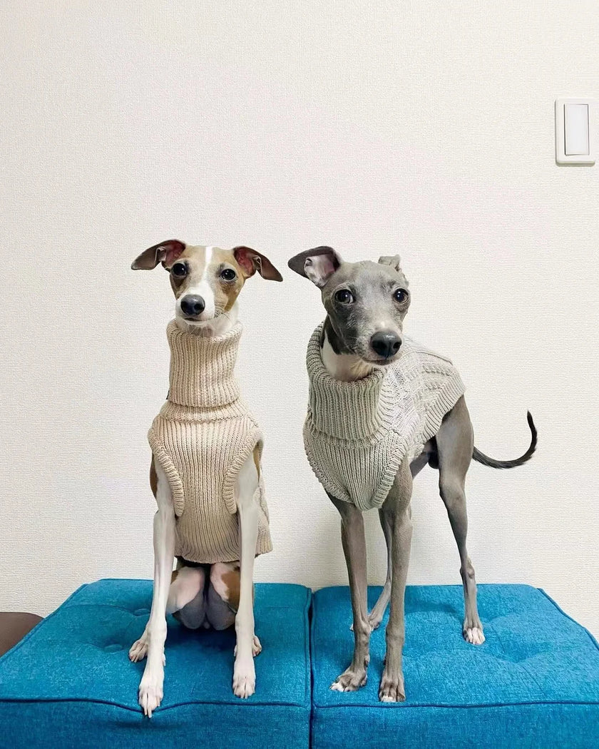Stickad polotröja för hund
