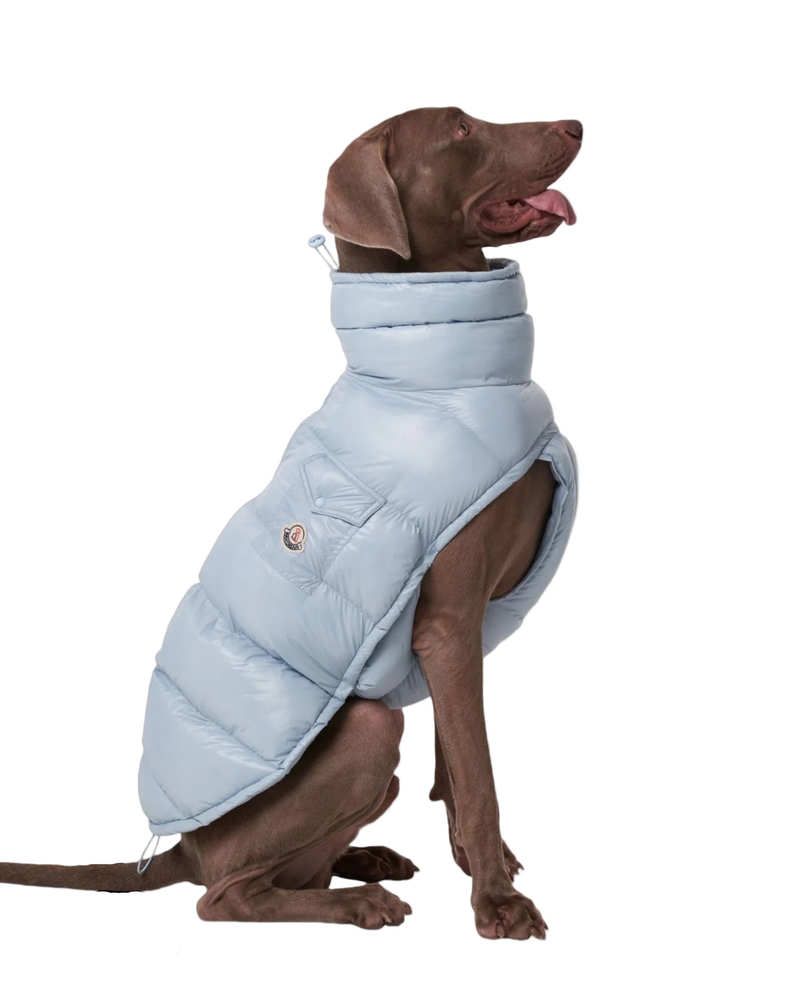 Täckväst för hund