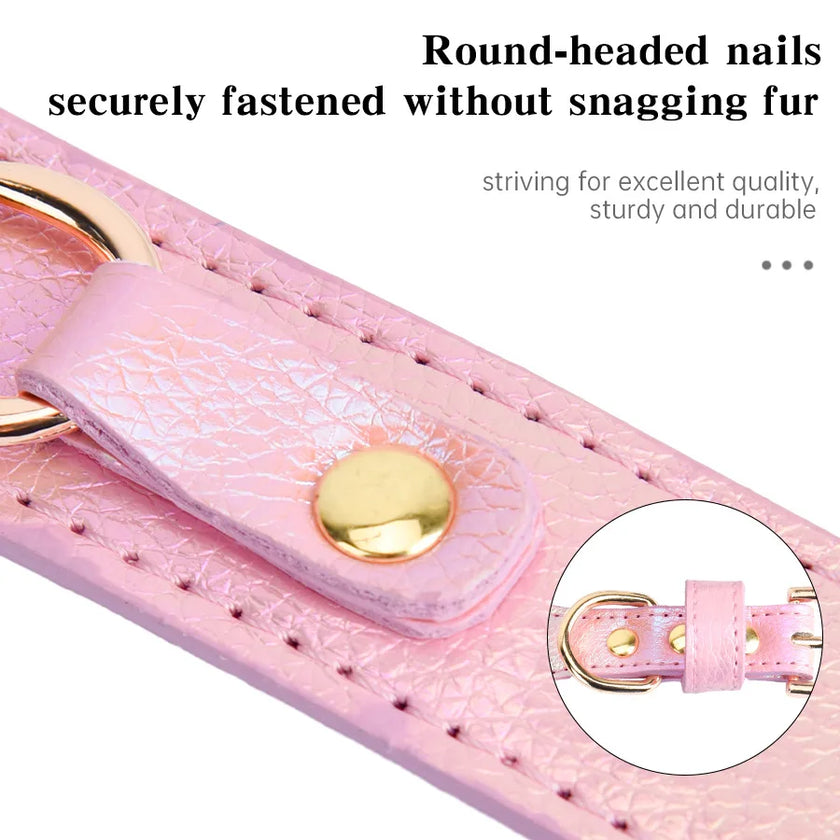 Hundhalsband med smycke