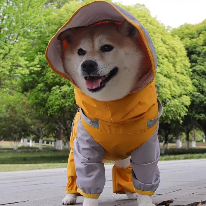 Vattentät overall med sele för hund