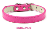 Hundhalsband