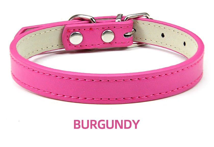 Hundhalsband