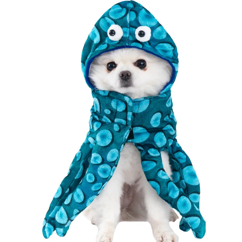 Halloween kostym för hund
