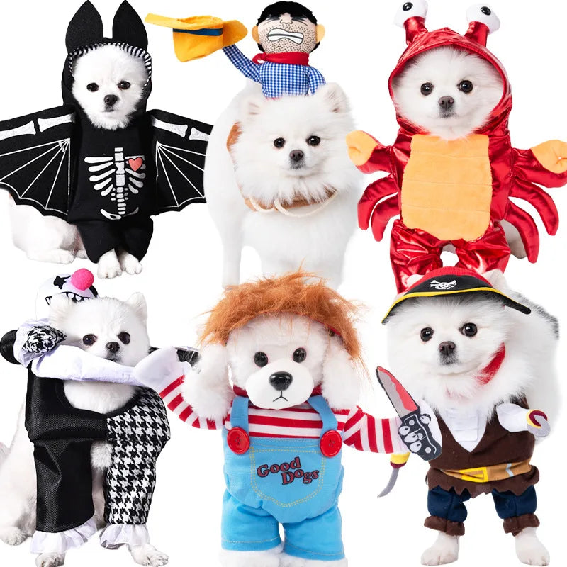 Halloween kostym för hund