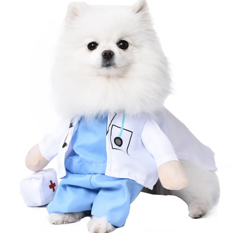 Halloween kostym för hund