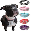 Hundhalsband med spikes