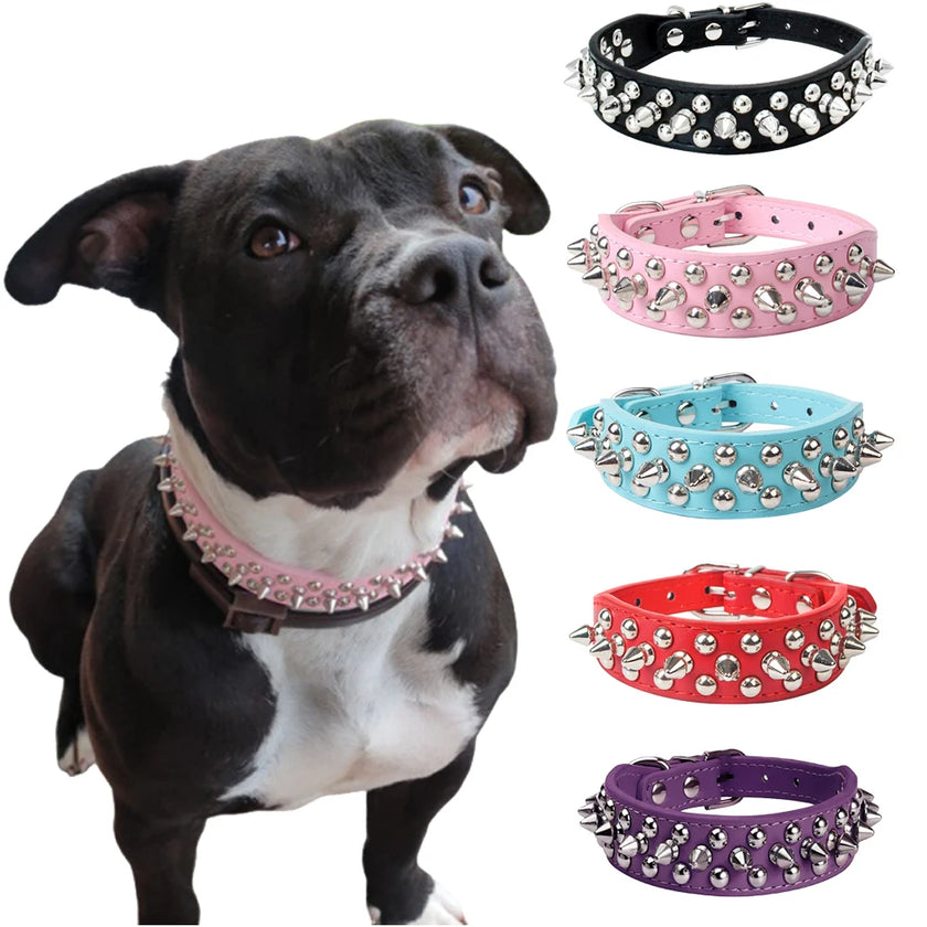 Hundhalsband med spikes