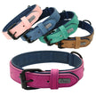 Hundhalsband