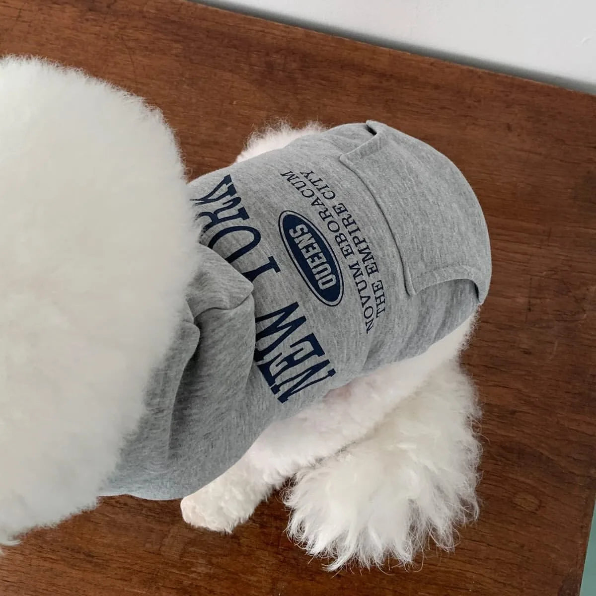 Hoodie Sweatshirt med huva för hund