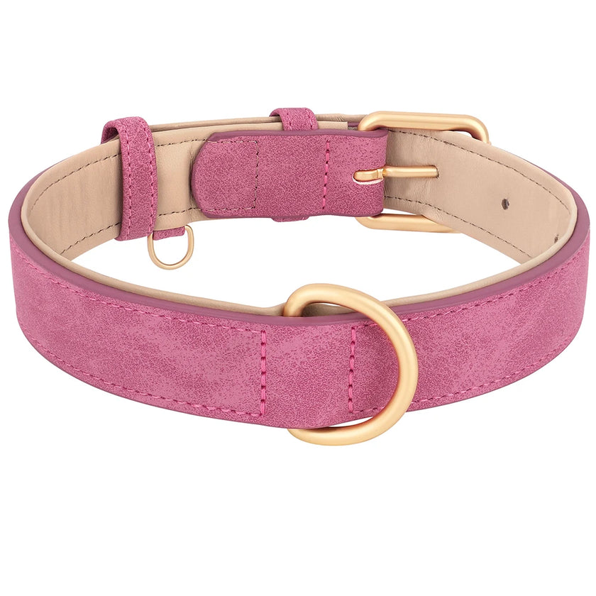 Hundhalsband