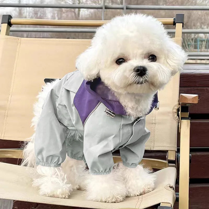 Regnoverall för hund