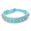 Hundhalsband med spikes
