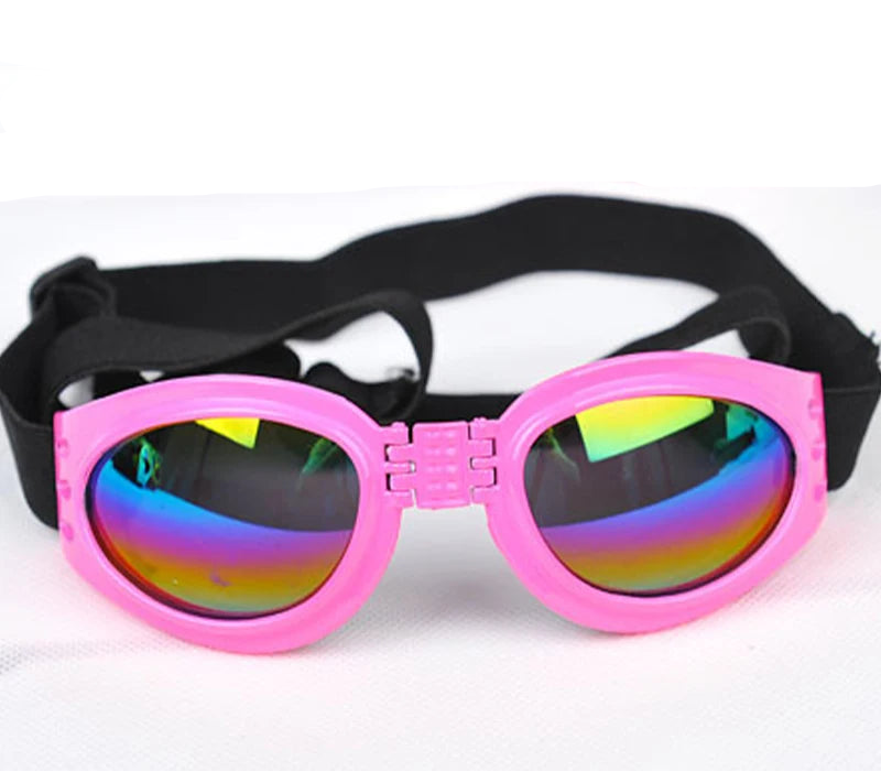 Goggles för hund