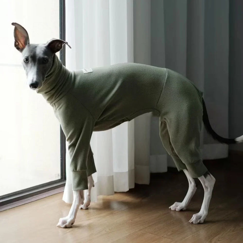 Overall Onesie med hög krage för hund