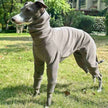 Overall Onesie med hög krage för hund