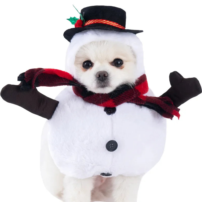Halloween kostym för hund