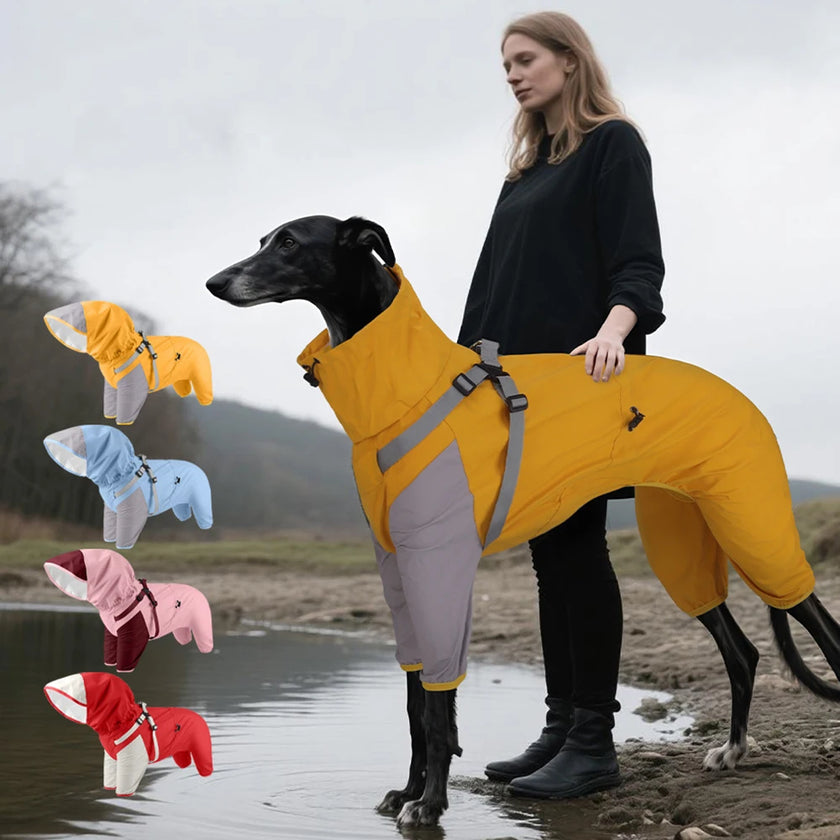 Vattentät overall med sele för hund