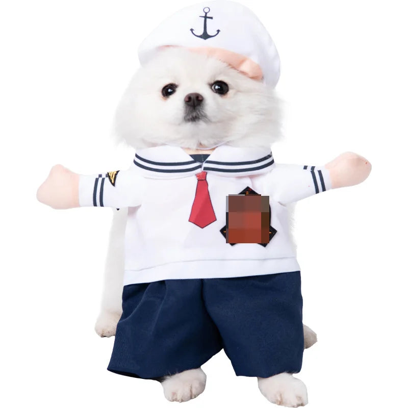 Halloween kostym för hund